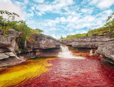 Caños Cristales