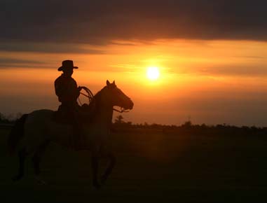 Llanos Orientales