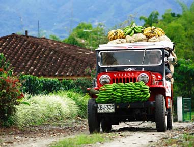 Eje Cafetero